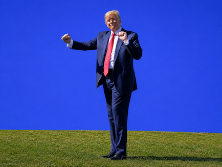 Nick Abbot soundbite: Grass has a life